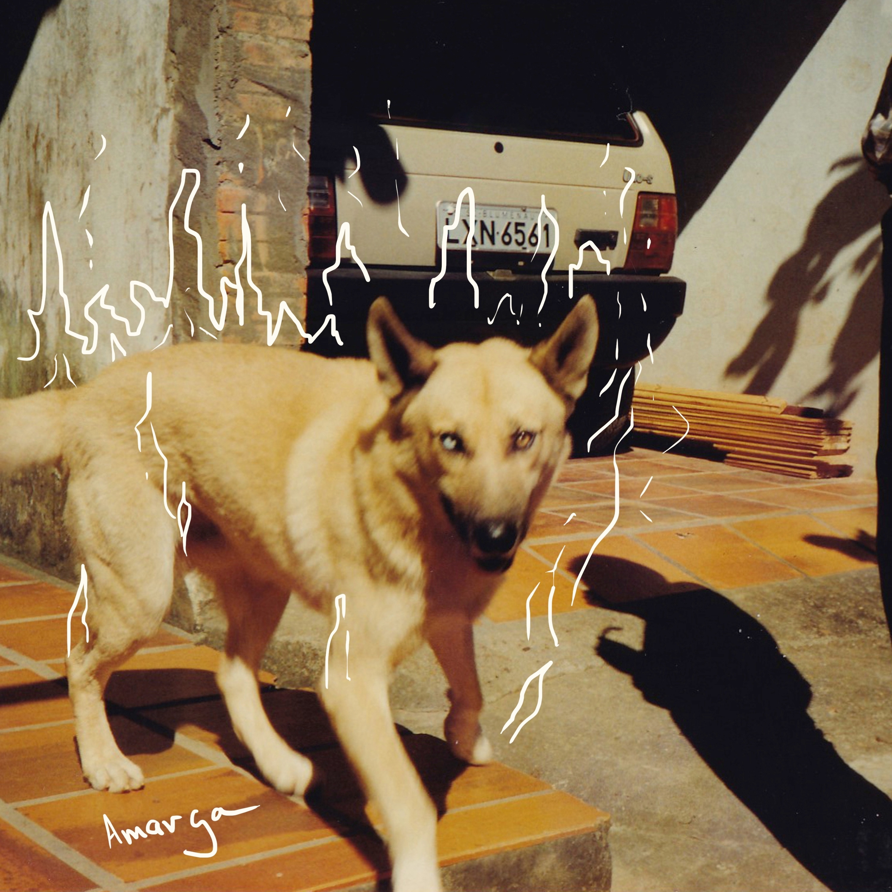 amarga - Single album cover