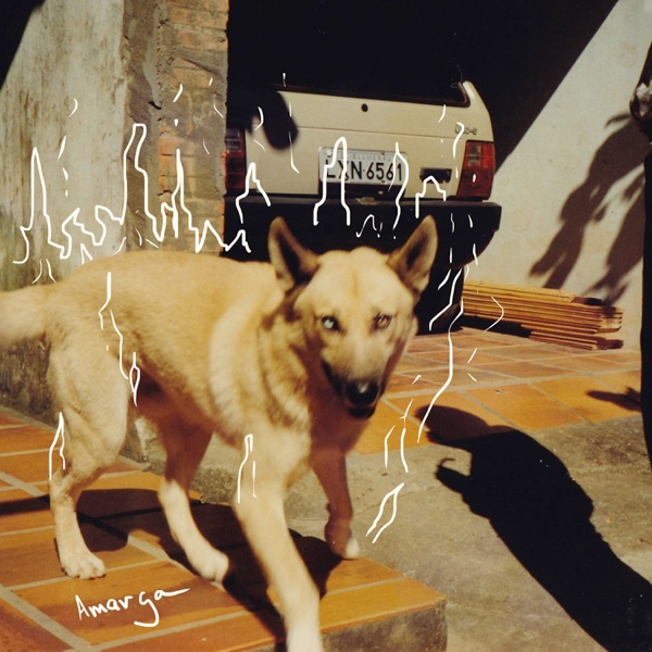 amarga - Single album cover