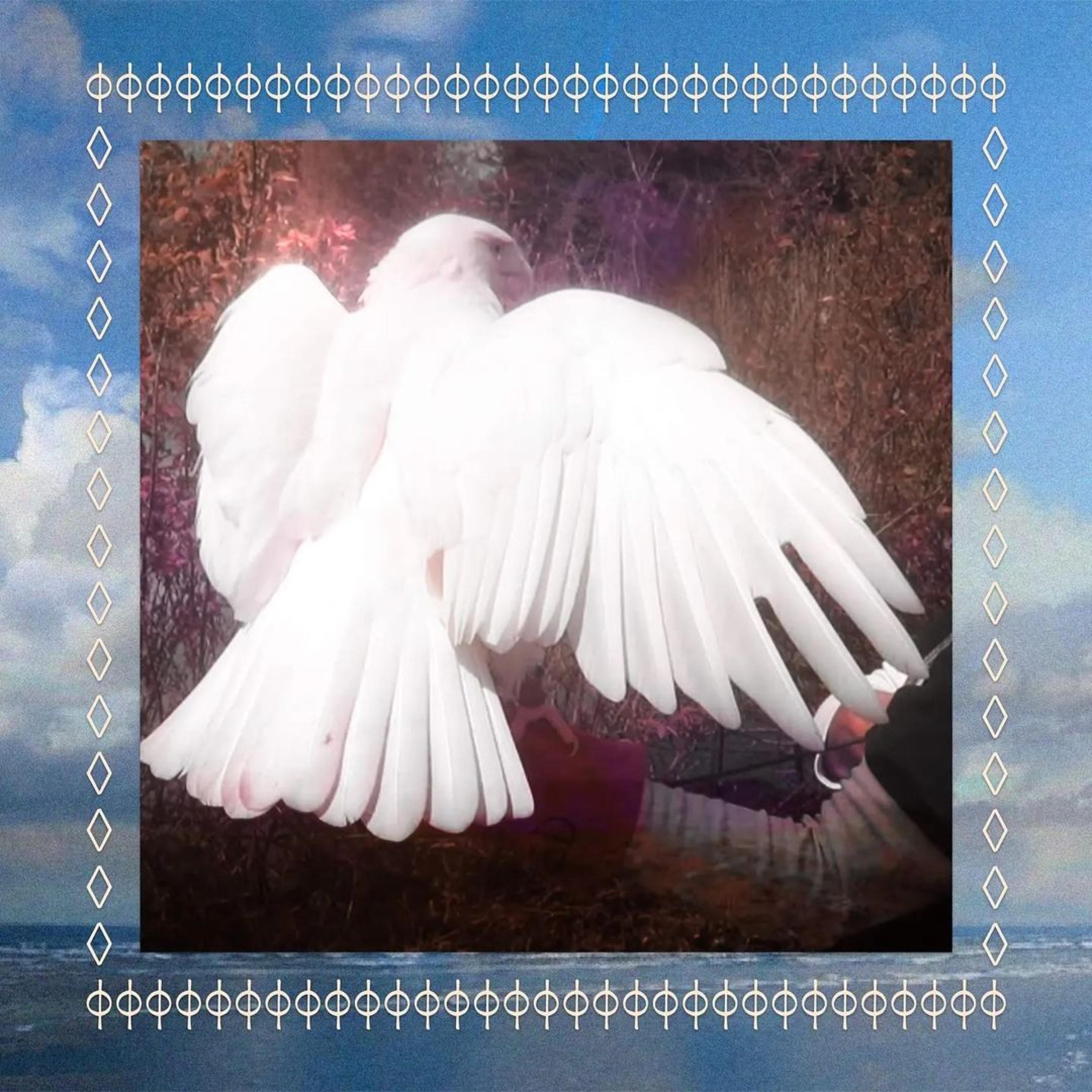 Sentimiento - Single album cover
