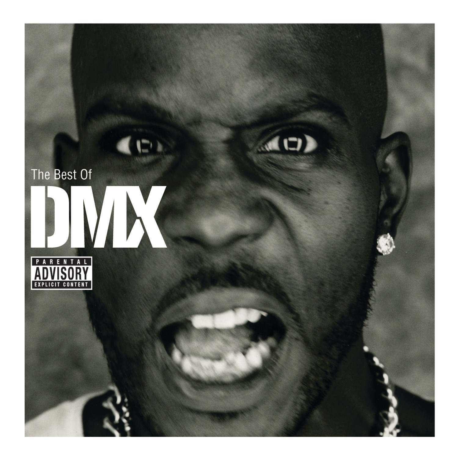 The Best of DMX album cover