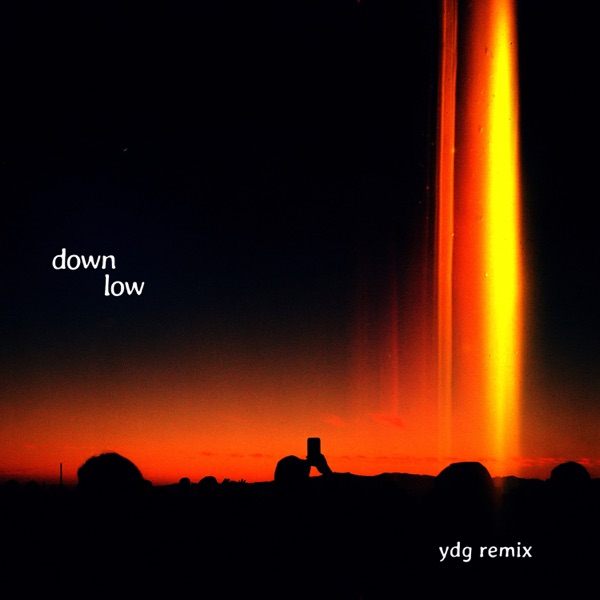 Down Low (YDG Remix) [feat. Sorana] - Single album cover