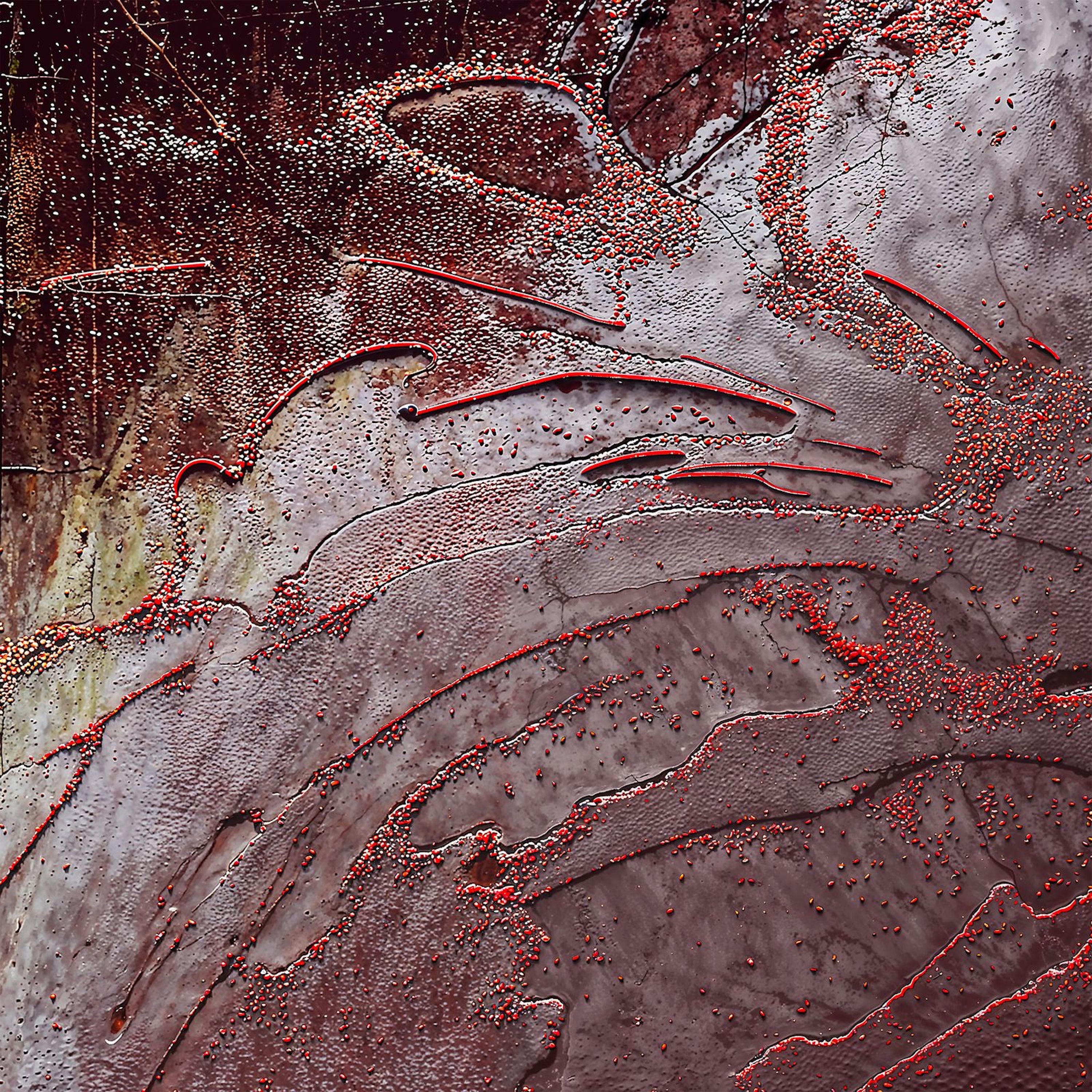 LA NOCHE - Single album cover