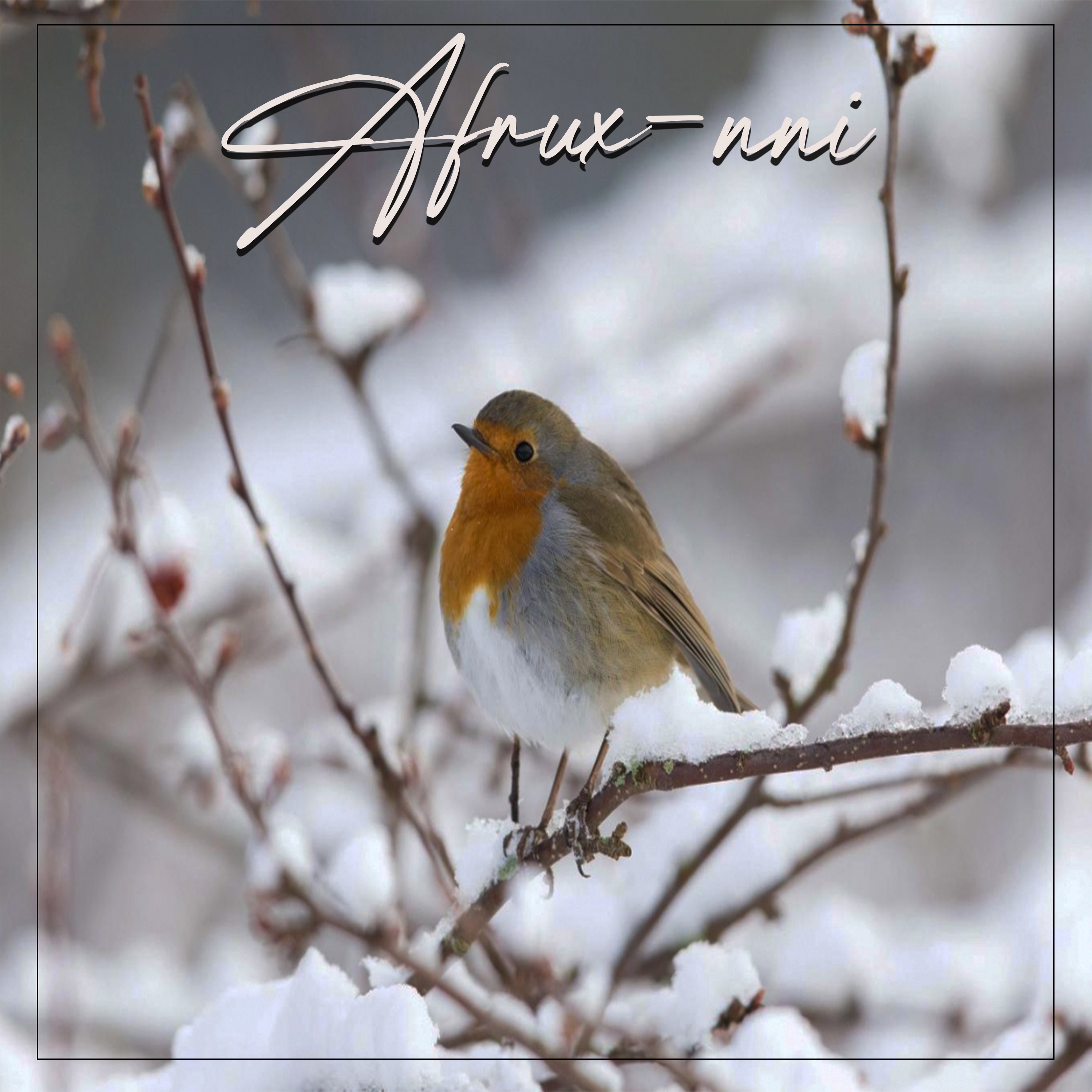 Afrux-nni - Single album cover