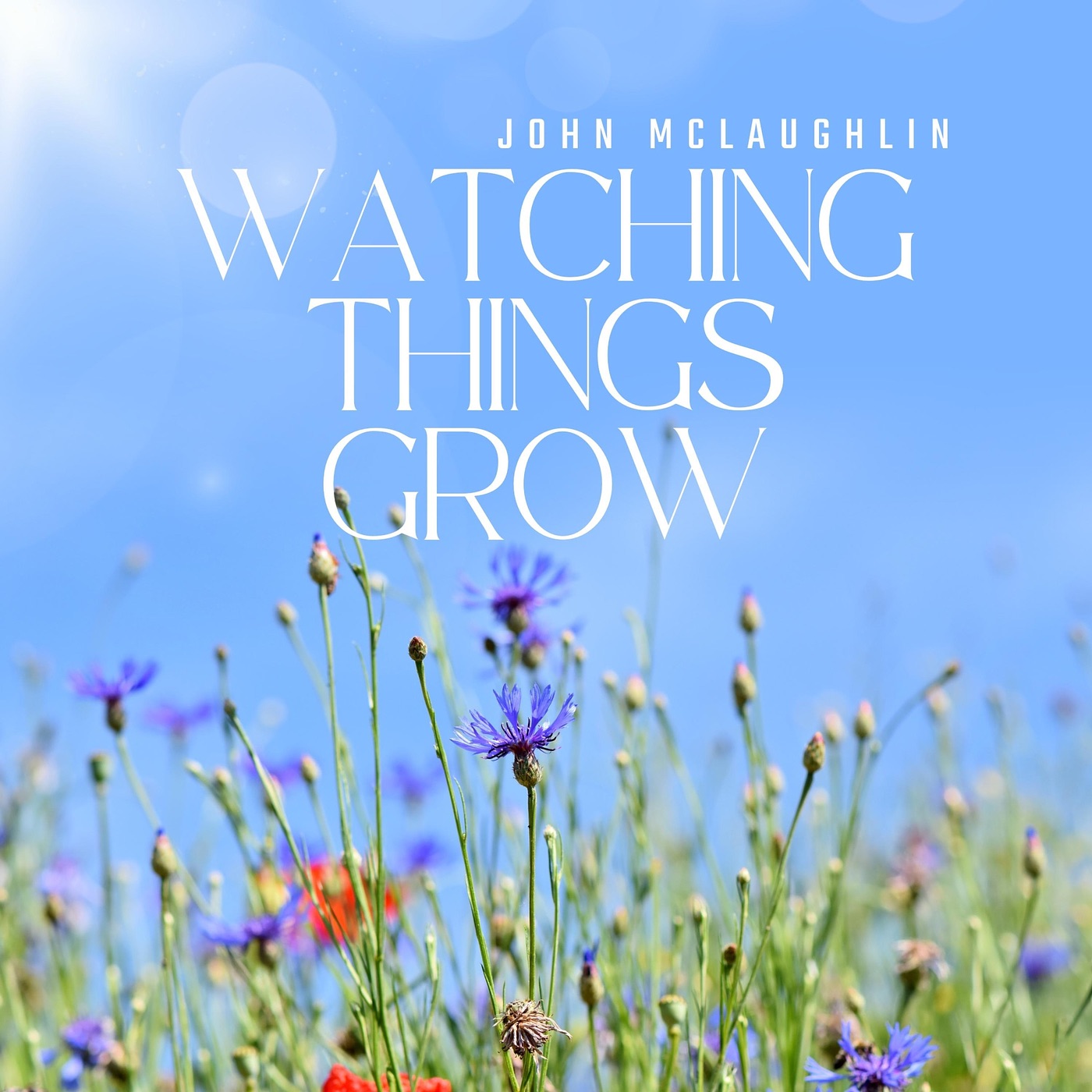 Watching Things Grow - Single album cover
