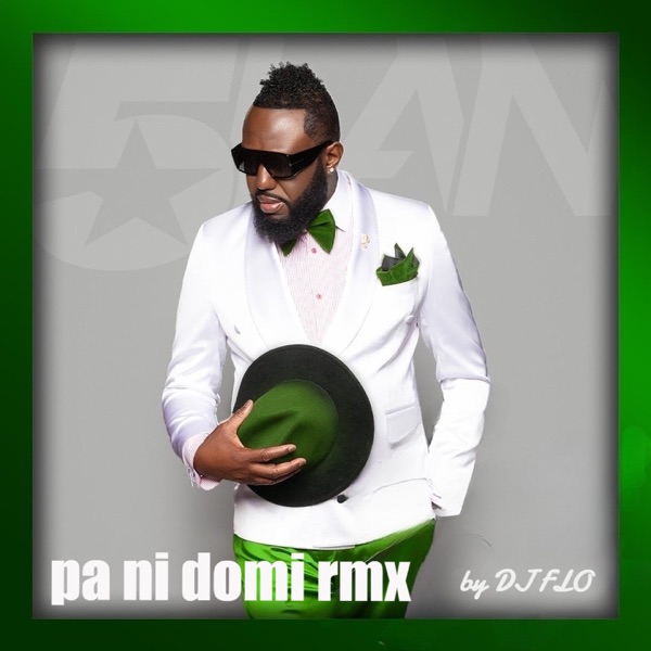 PA NI DOMI (feat. Jim Rama) [Dj Flo Remix] - Single album cover
