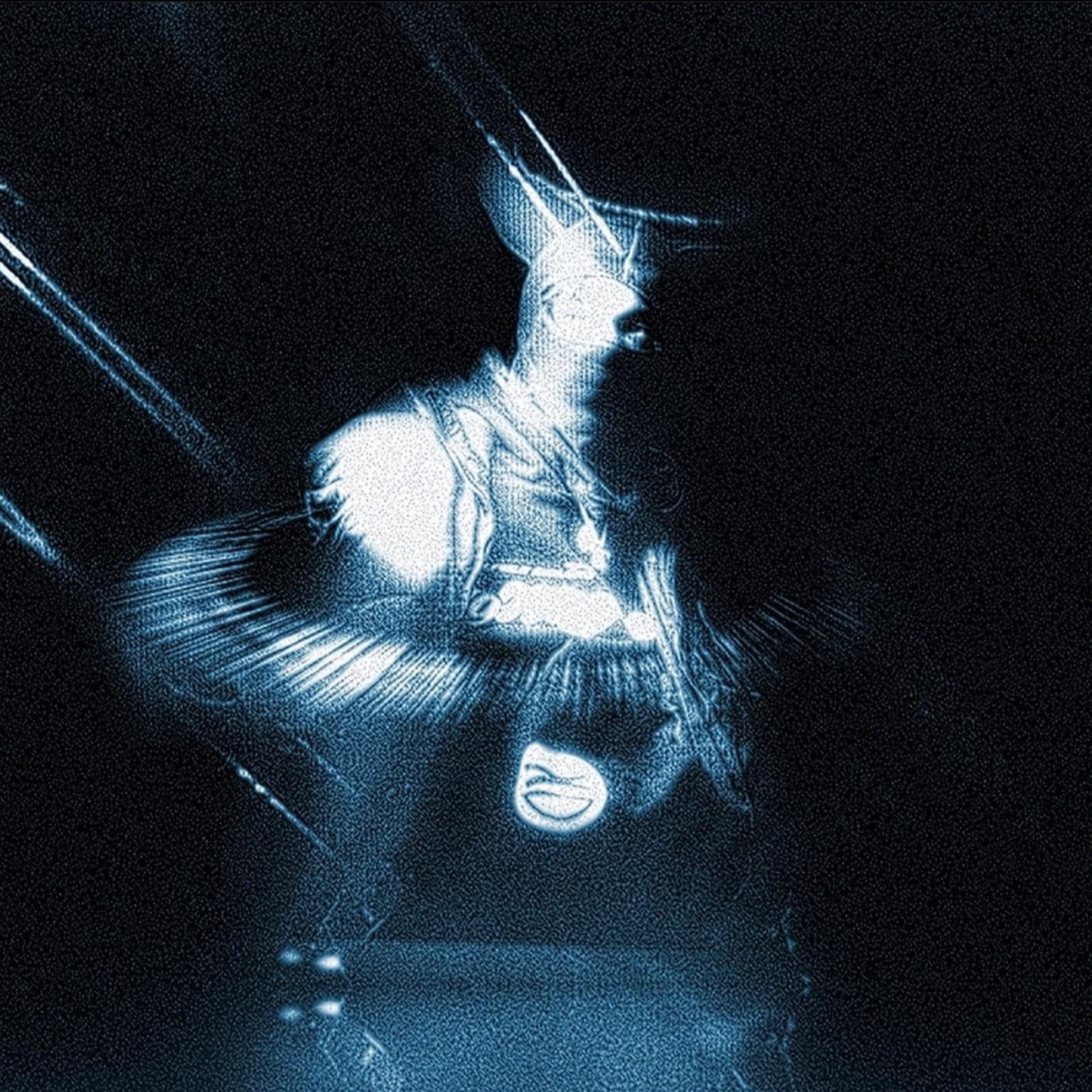 I Am Not A Human Being album cover