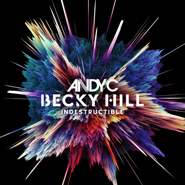 Indestructible - Single album cover