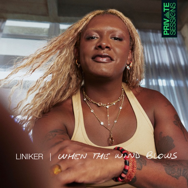 When The Wind Blows (Private Sessions) - Single album cover