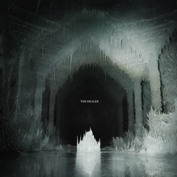 The Healer album cover