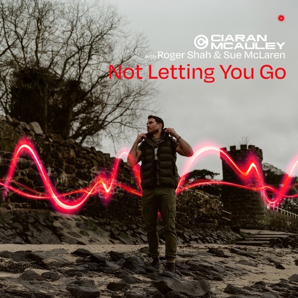 Not Letting You Go - Single album cover