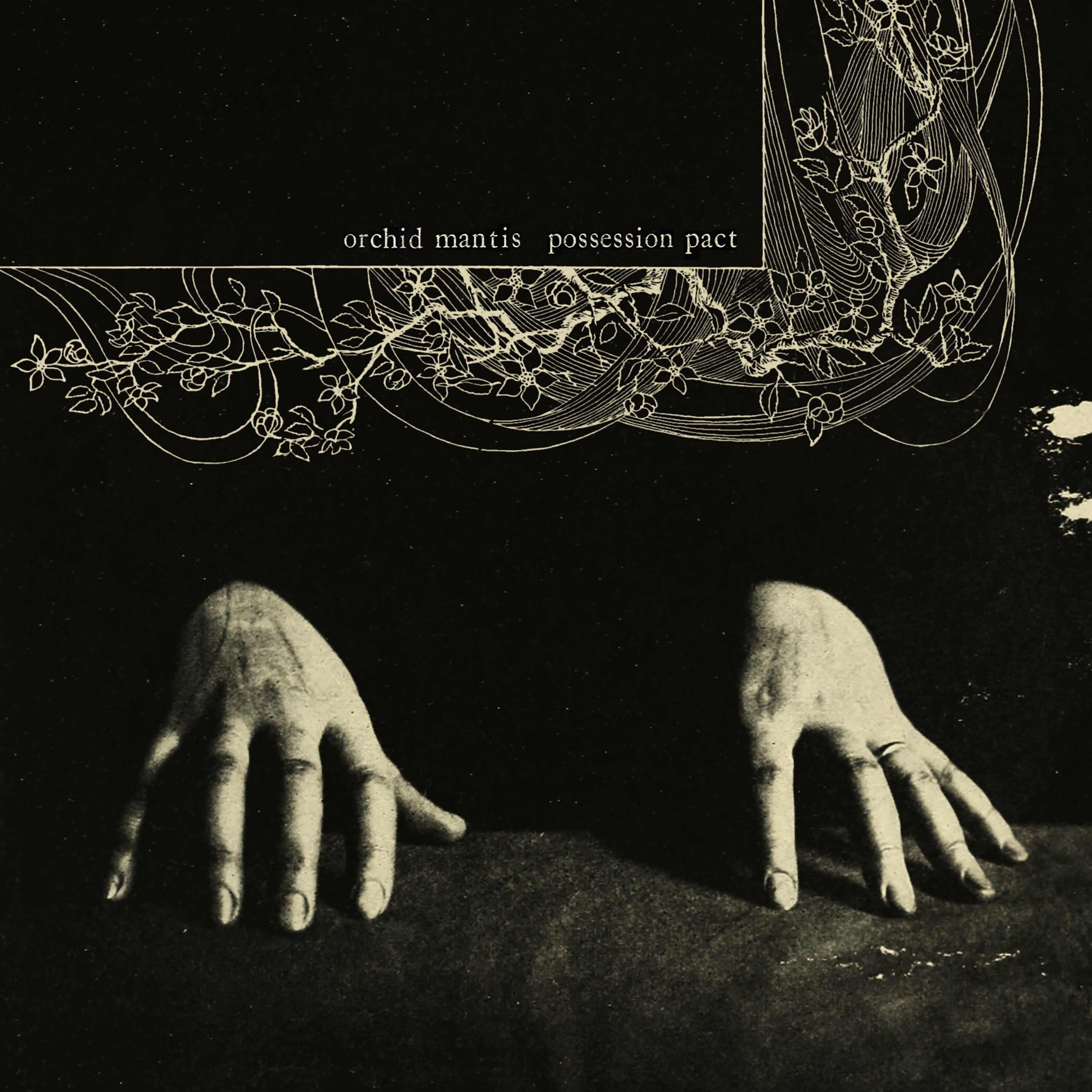 Possession Pact album cover