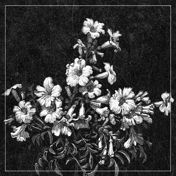 Figure 8 - Single album cover
