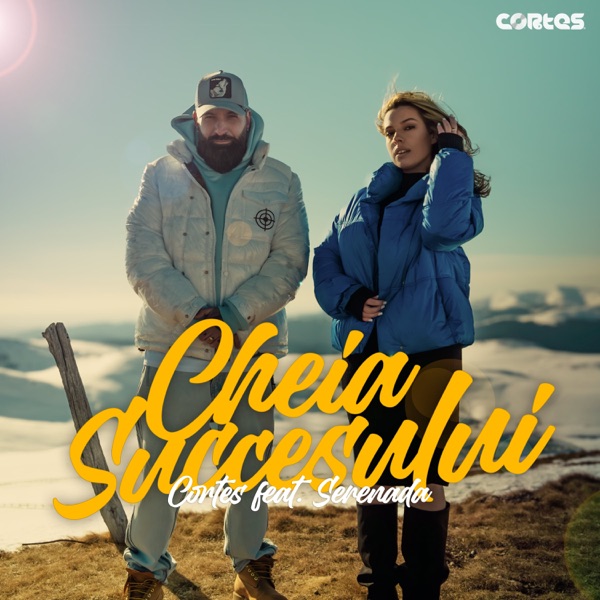 Cheia succesului - Single album cover