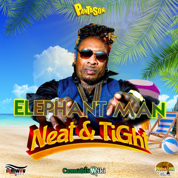 Neat & Tight - Single album cover
