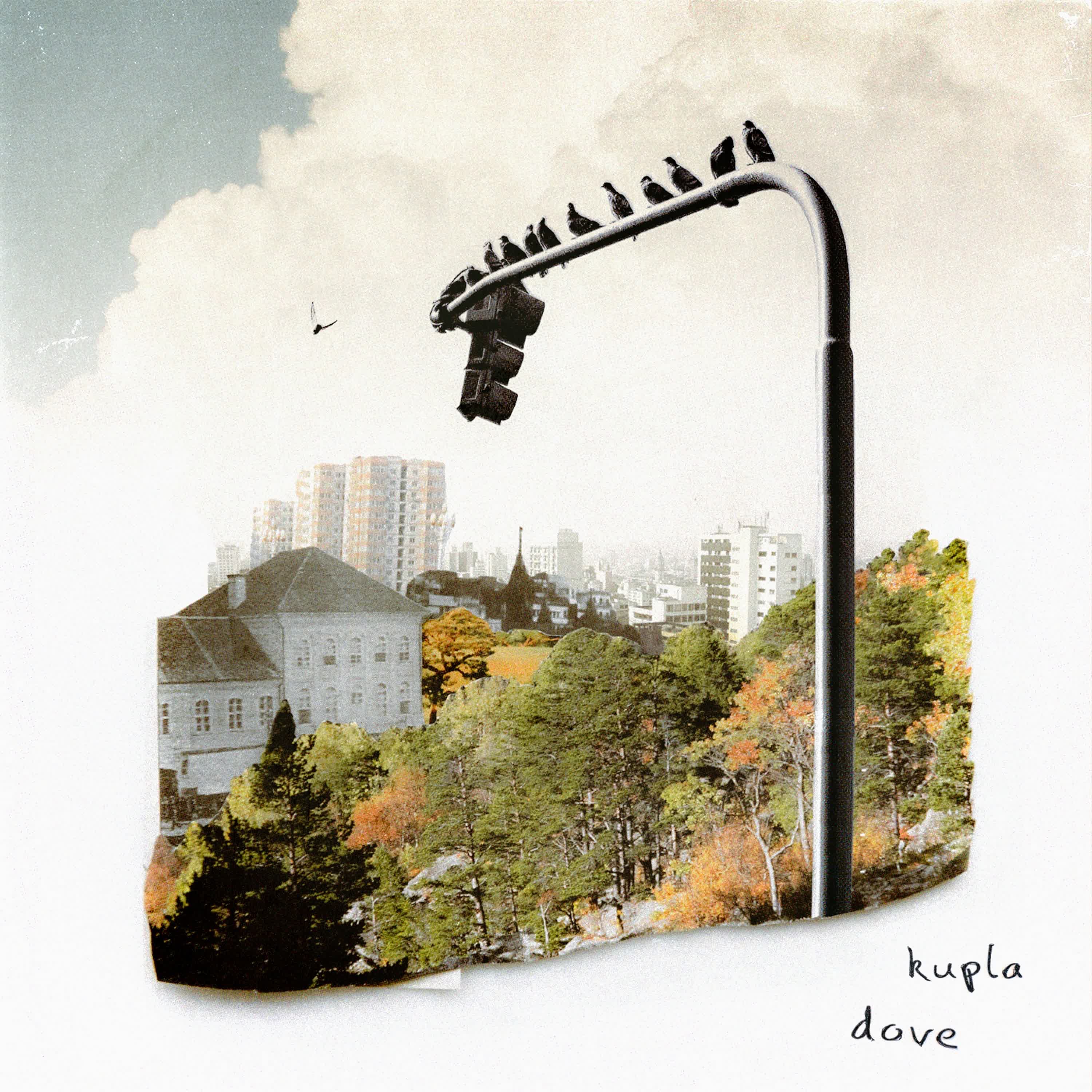 Dove - Single album cover