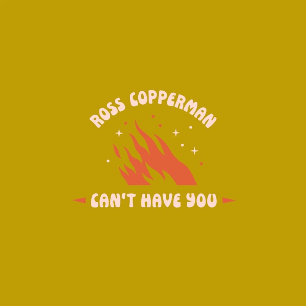 Can't Have You - Single album cover