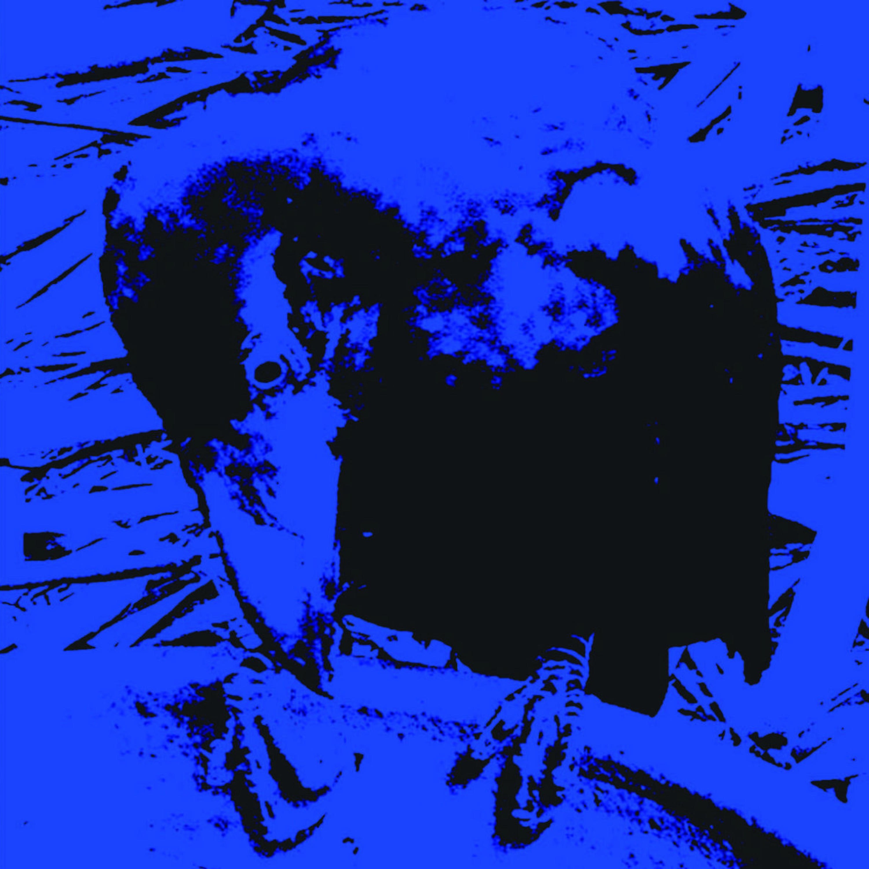 Indigo Dada album cover