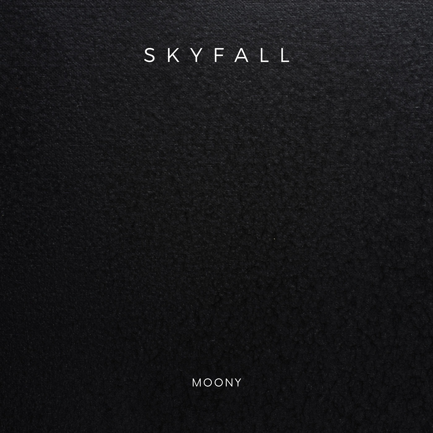 Skyfall - Single album cover