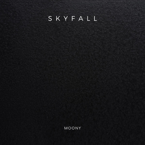 Skyfall - Single album cover