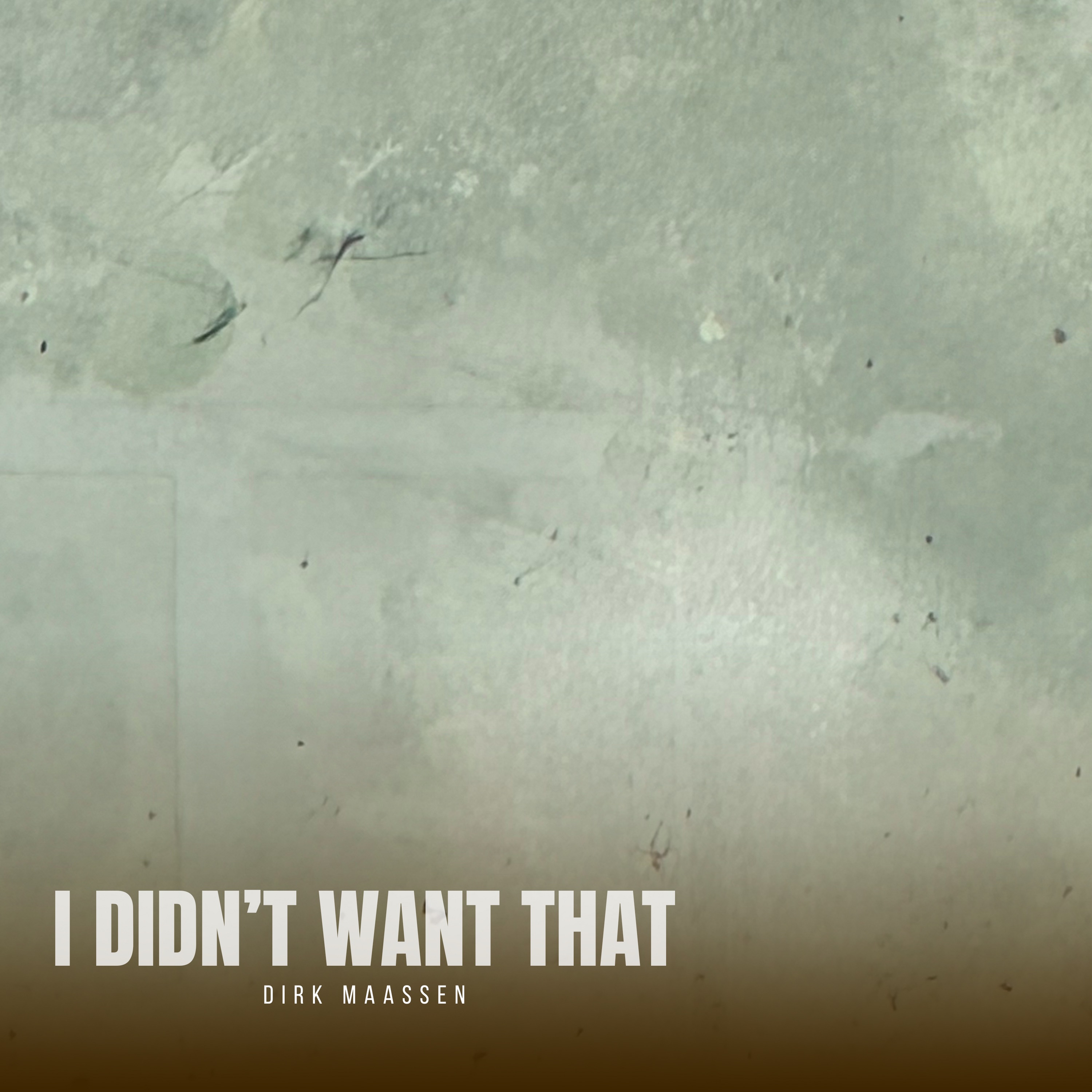 I Didn't  Want That - EP album cover