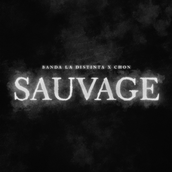 Sauvage (feat. Chon) - Single album cover
