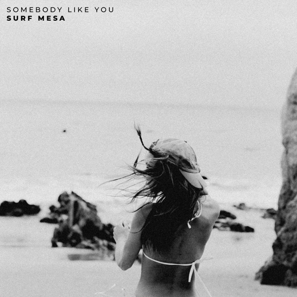 Somebody Like You - Single album cover