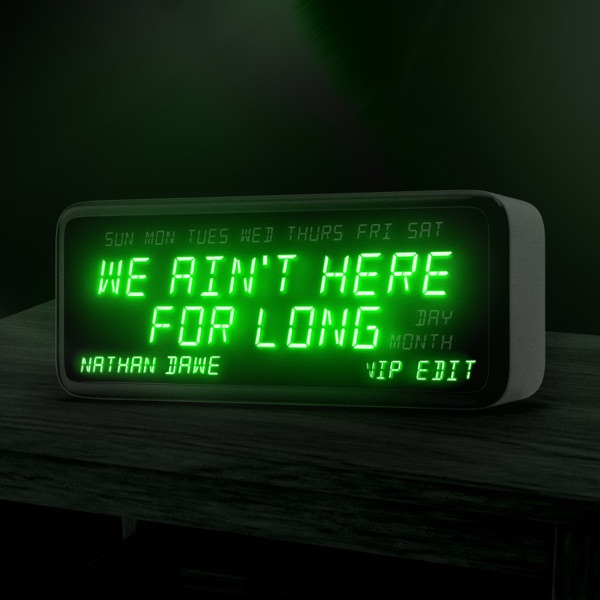 We Ain't Here For Long (VIP Edit) - Single album cover