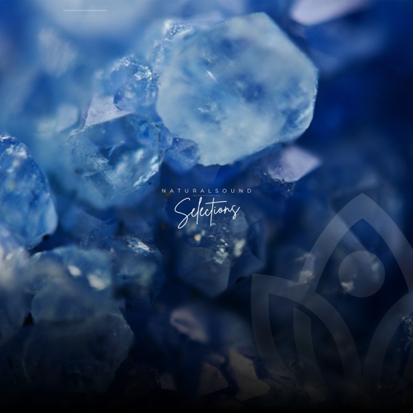 Nature Sounds and Frequencies - Single album cover