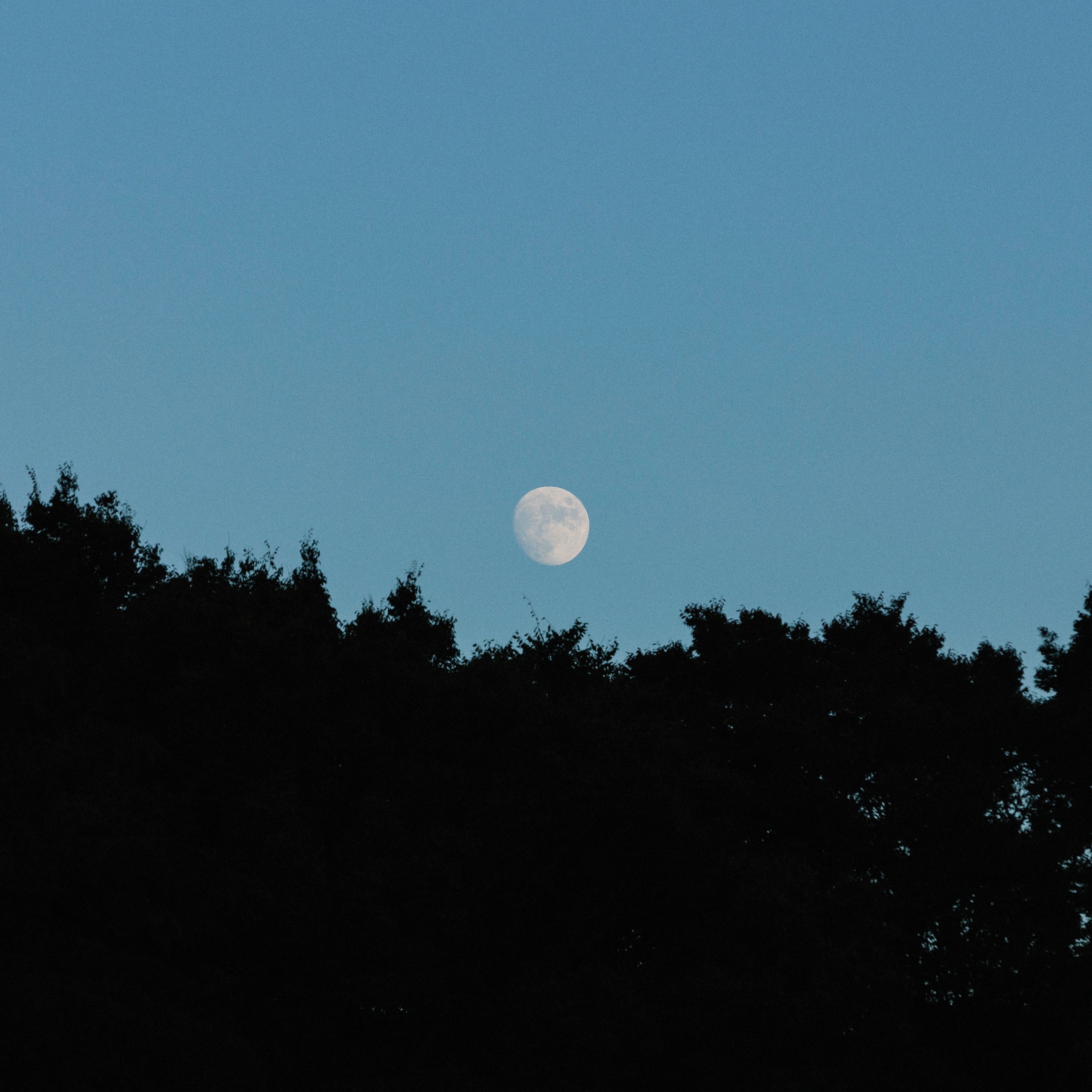 I Need the Night - Single album cover