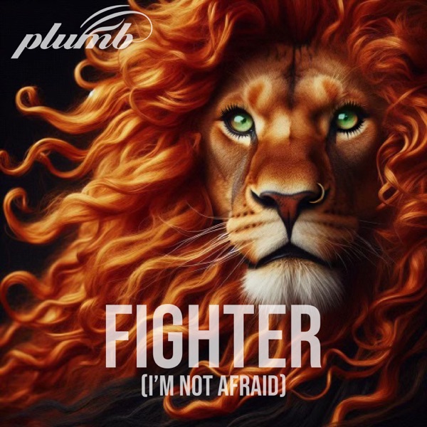 Fighter (I'm Not Afraid) - Single album cover