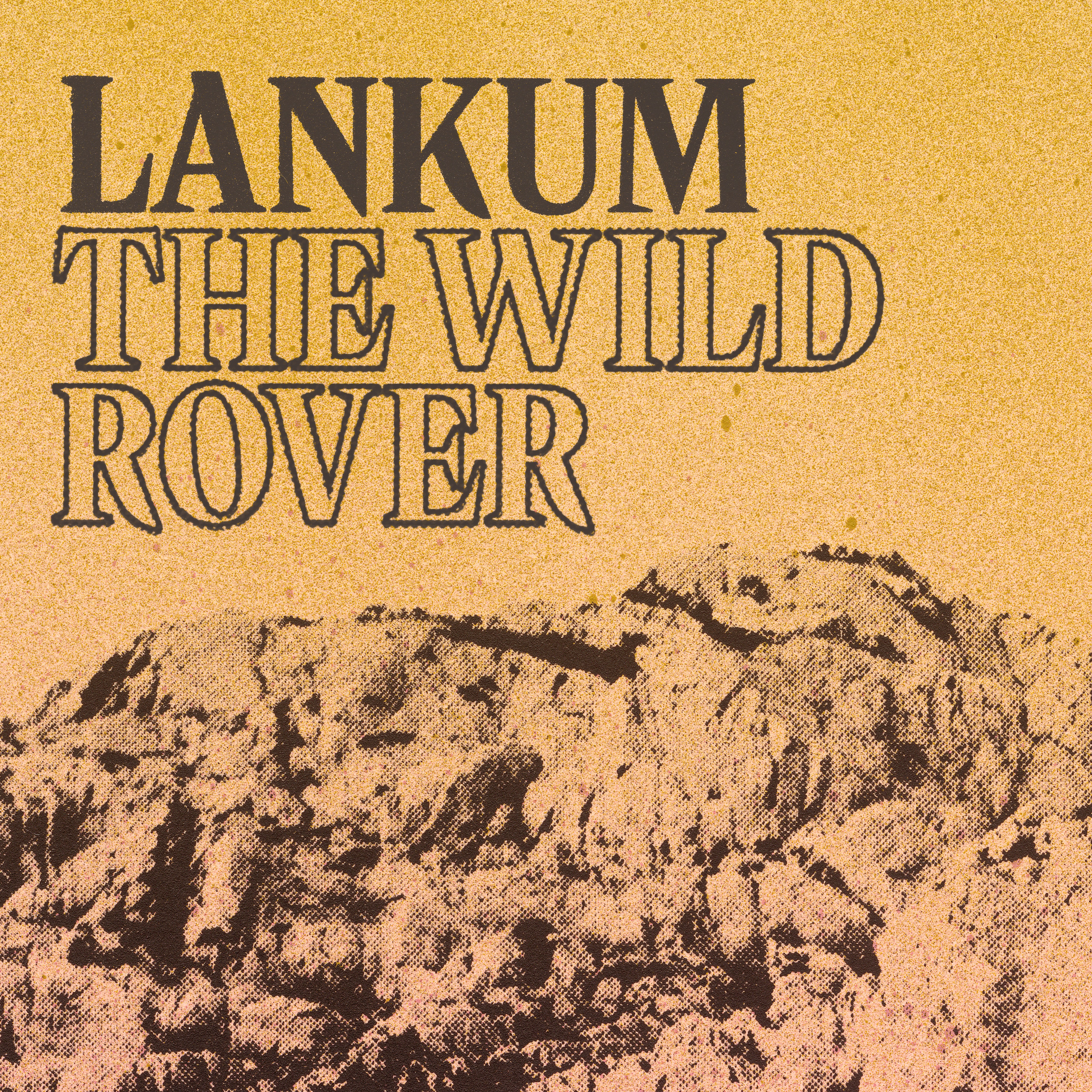 The Wild Rover - EP album cover