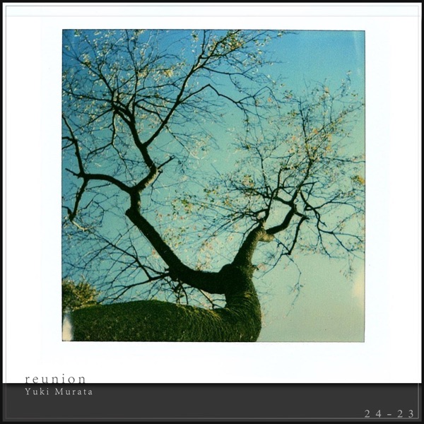 Reunion - Single album cover
