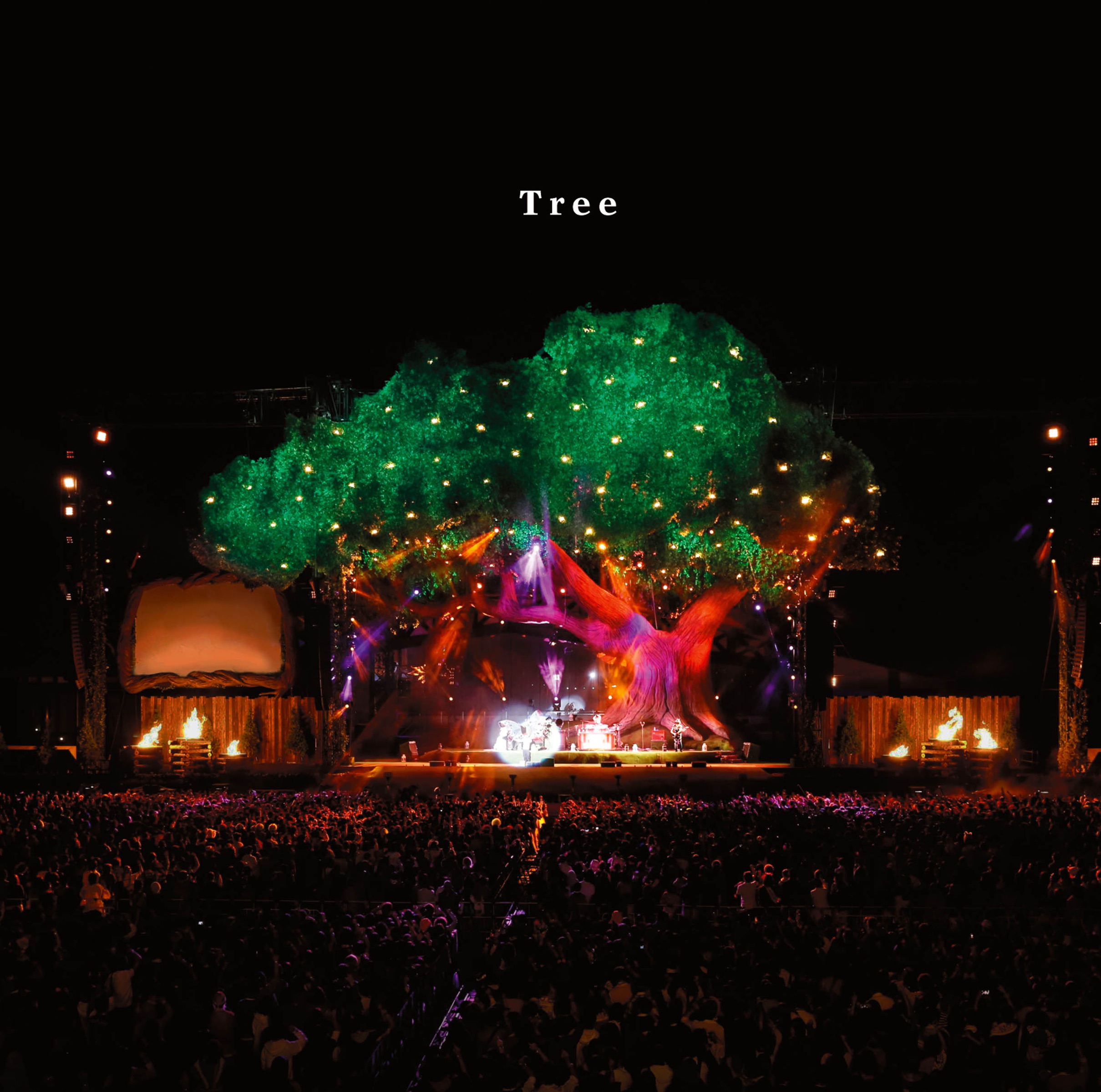 Tree album cover
