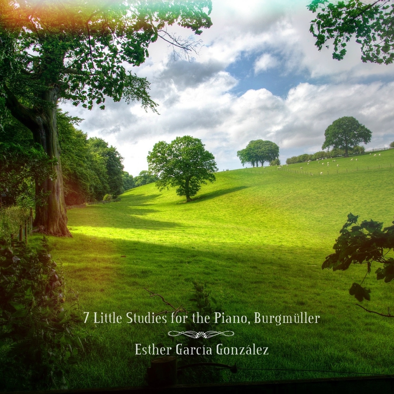 Burgmüller, 7 Little Studies for The Piano album cover