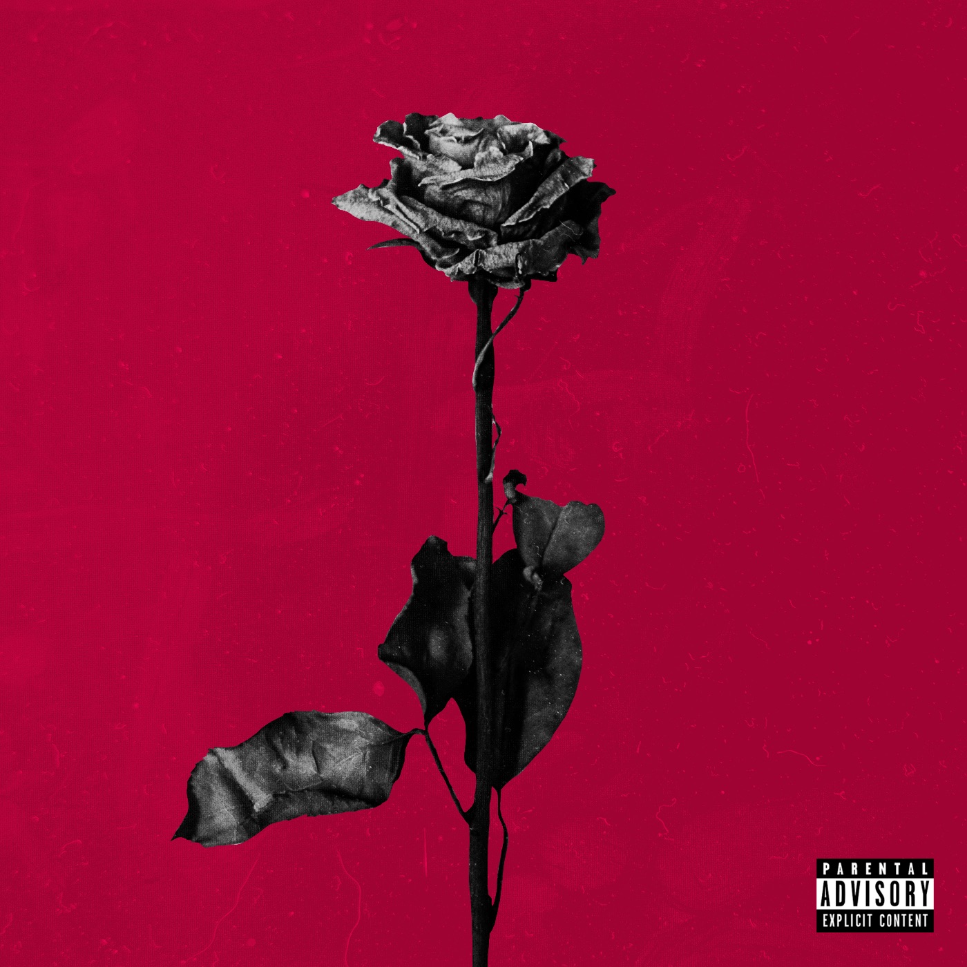 deadroses album cover