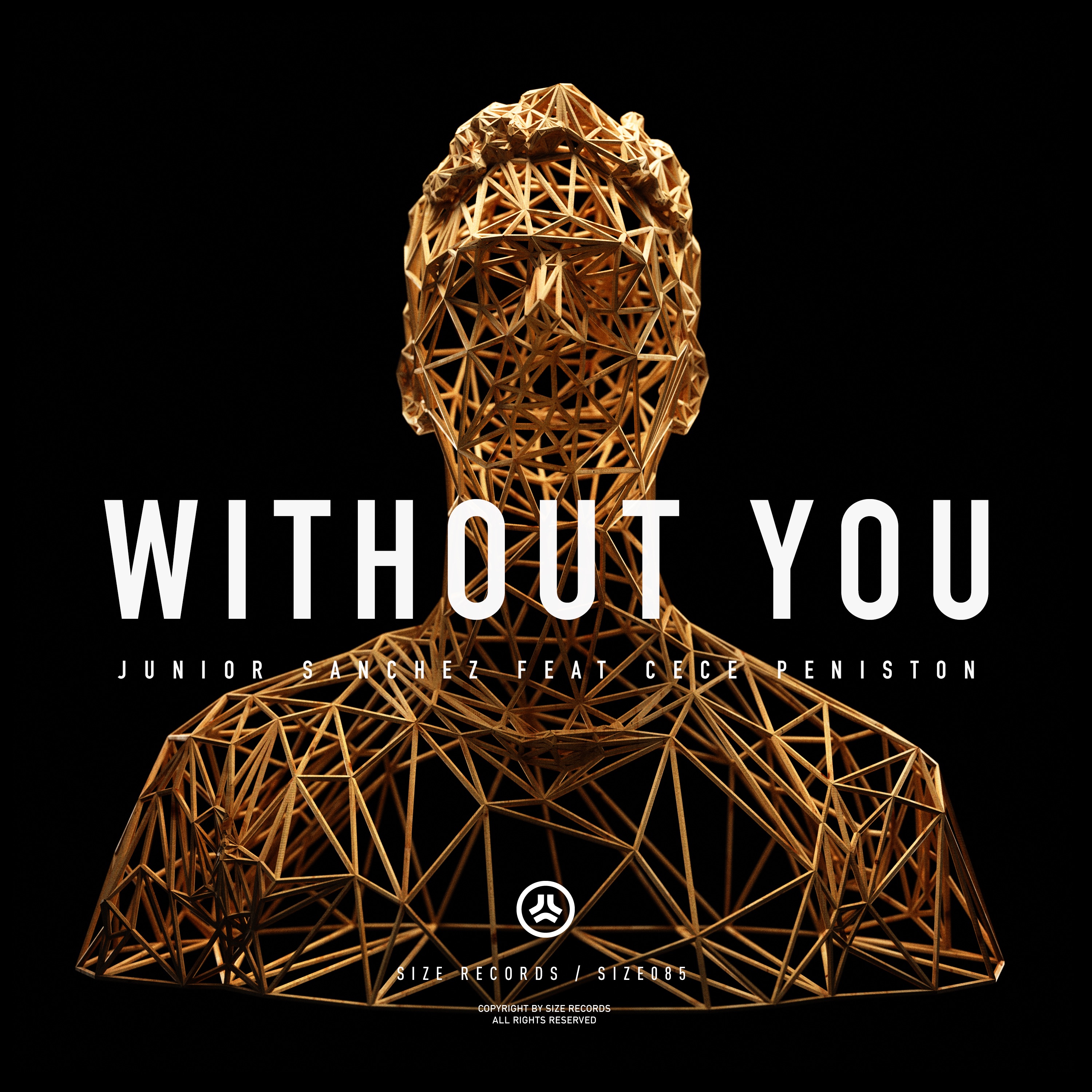 With Out You (feat. CeCe Peniston) - Single album cover