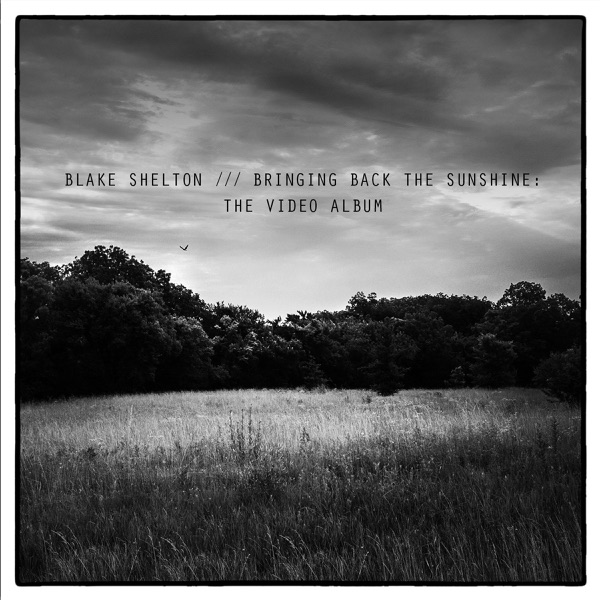 Bringing Back the Sunshine: The Video Album album cover