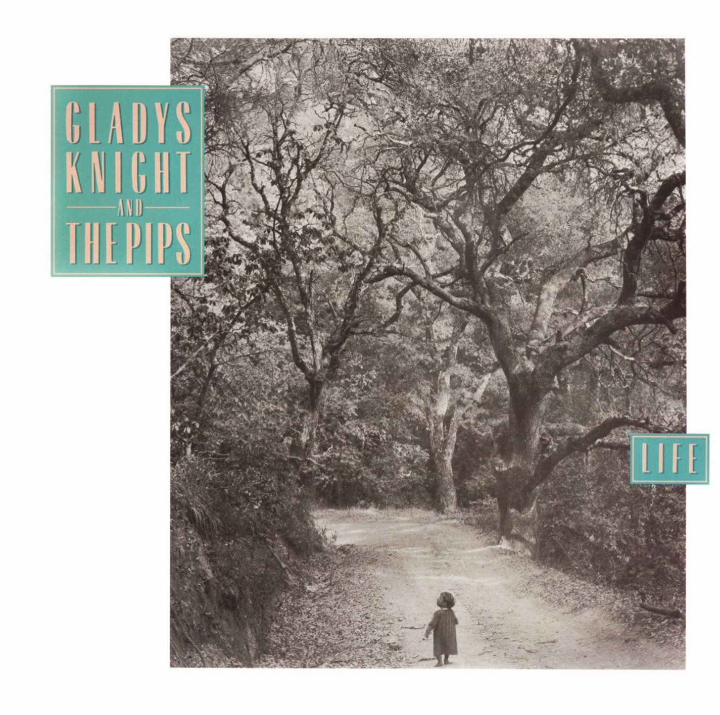 Life (Expanded Edition) album cover