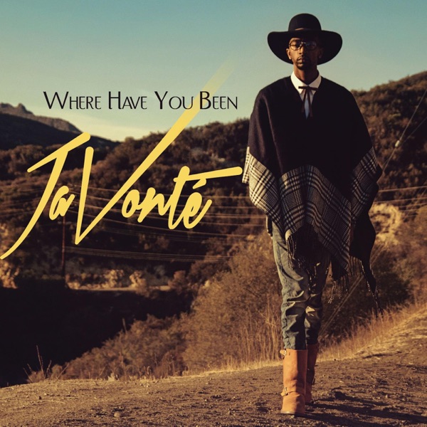 Where Have You Been album cover