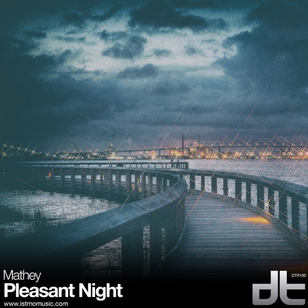 Pleasent Night - Single album cover