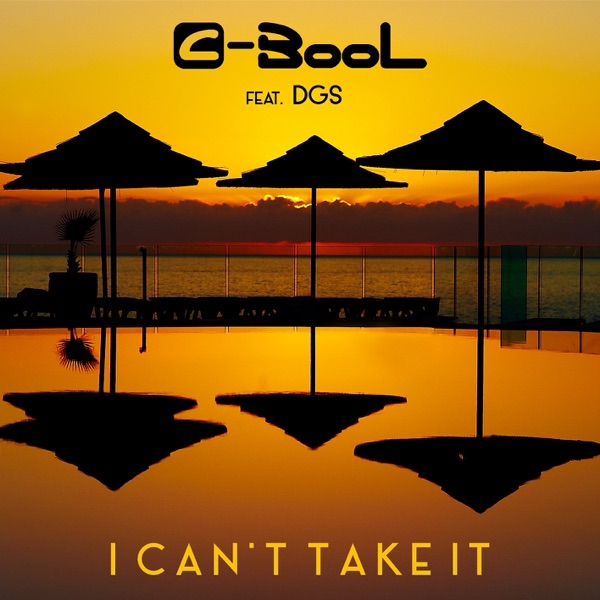 I Can't Take It (feat. DGS) - Single album cover