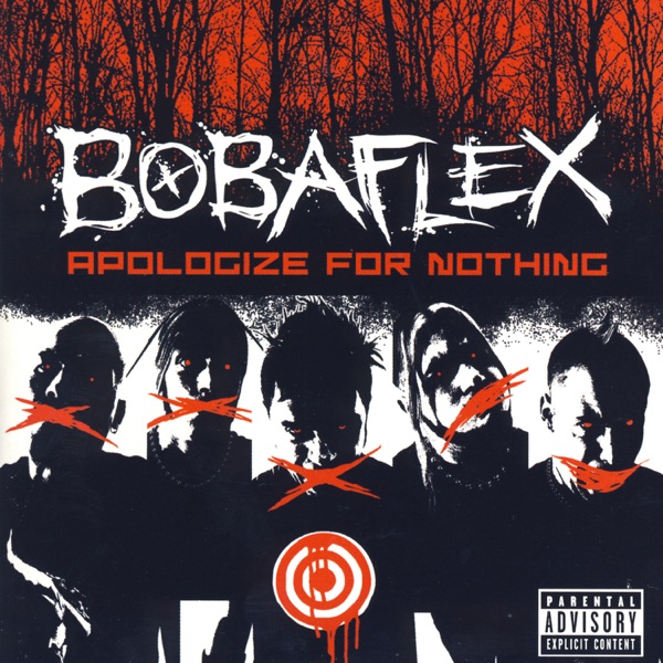 Apologize For Nothing album cover