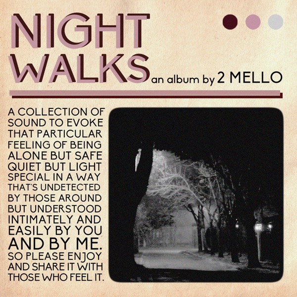 Night Walks album cover