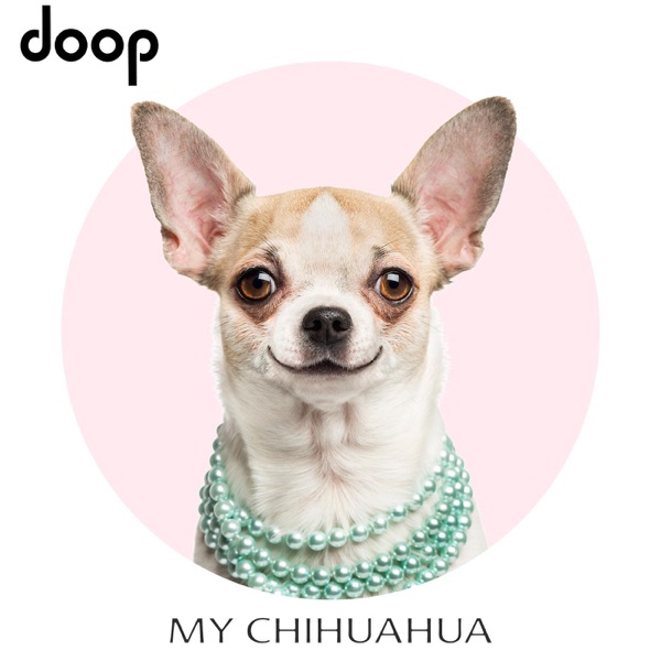 My Chihuahua - Single album cover