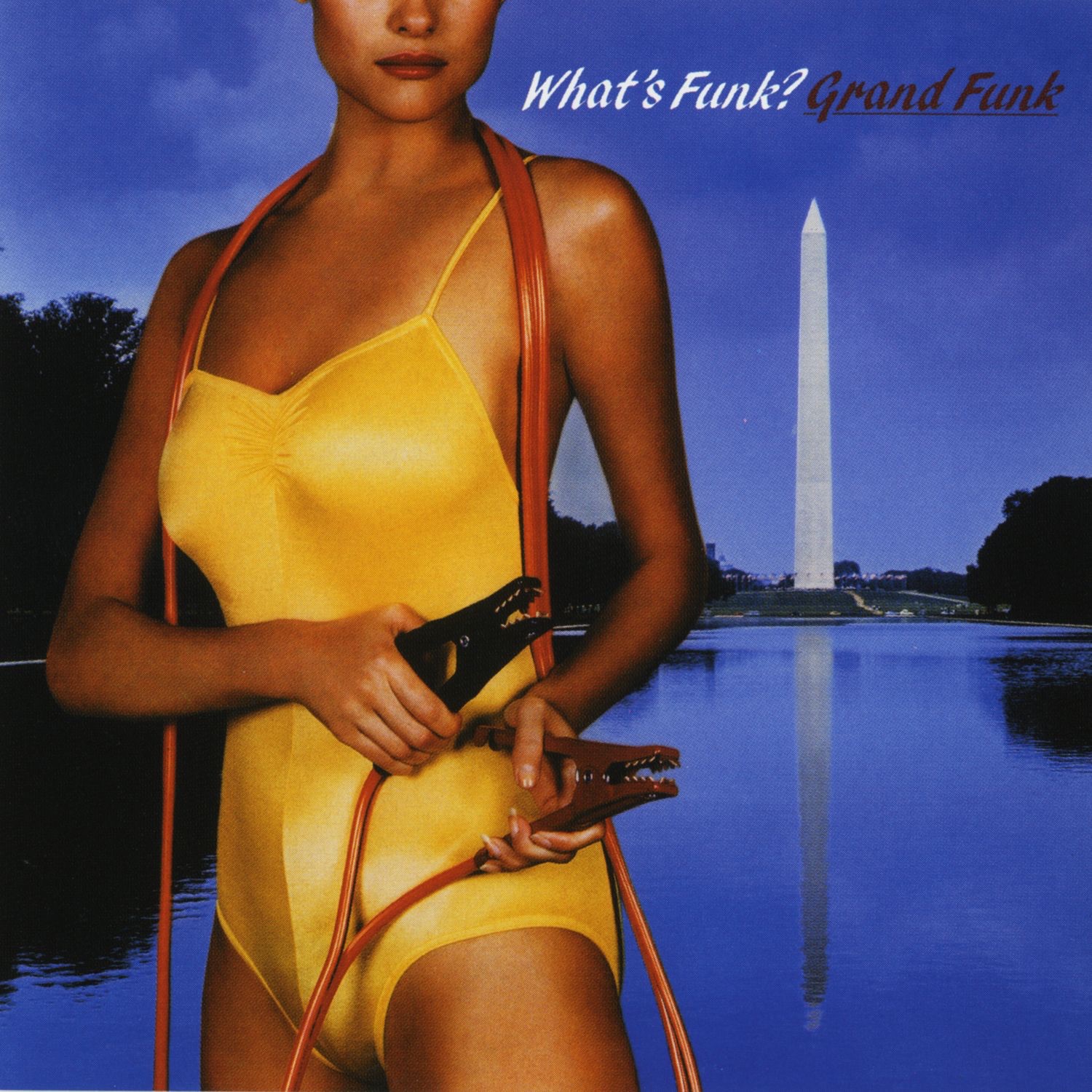 What's Funk album cover