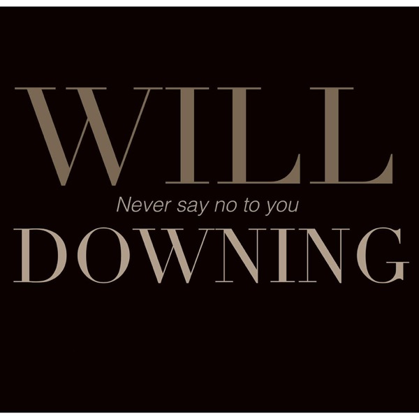 Never Say No to You - Single album cover