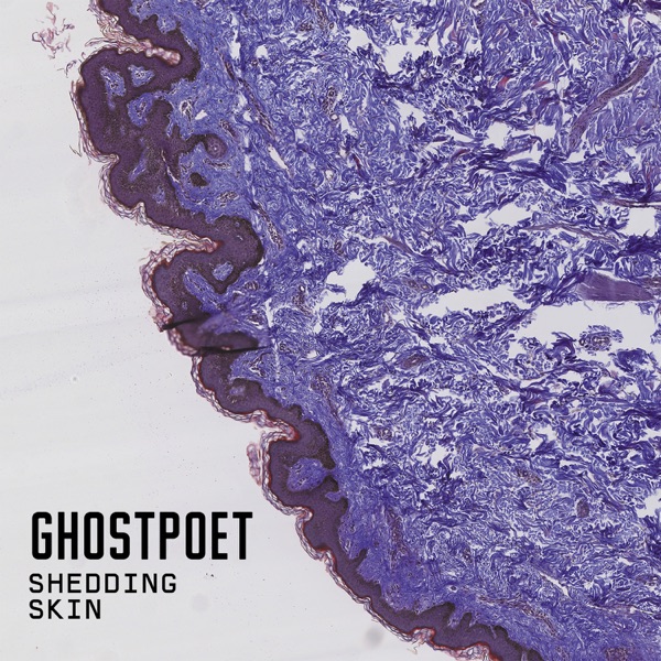 Shedding Skin album cover