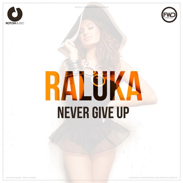 Never Give Up - Single album cover