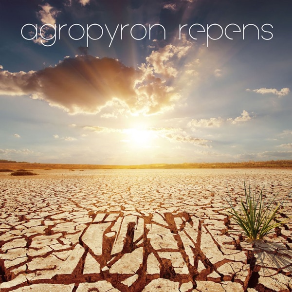 Agropyron Repens album cover