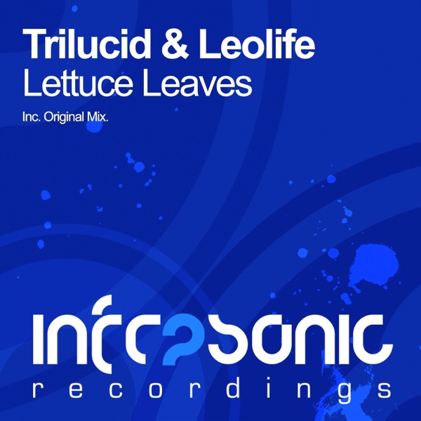 Lettuce Leaves - Single album cover